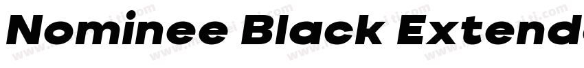 Nominee Black Extended Italic字体转换